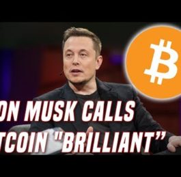 Elon Musk, Bitcoin, Crypto | Blockchain News