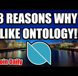 3 Reasons Why I Like Ontology | Altcoin Daily