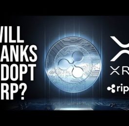 Will Banks Use Ripple’s XRP Token | QA | Nuggets News