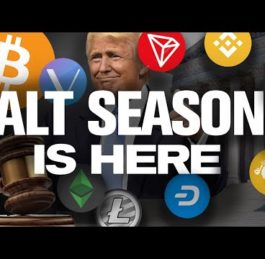 ALTSEASON 2020 Ready to EXPLODE! Why? US Govt Gives Greenlight!?