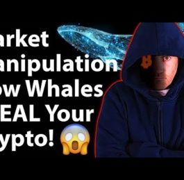 How to Spot Market Manipulation in the Crypto Space | Coin Bureau