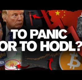 Sell or Hodl March 2020 Flash Crash | Chico Crypto