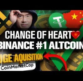 Binance BNB and CoinMarketCap Buyout | Top Altcoin