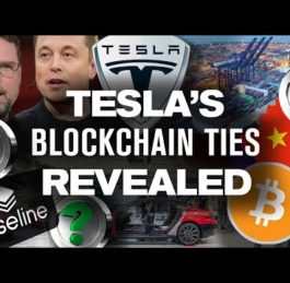 TESLA Blockchain and Cryptocurrency Ties