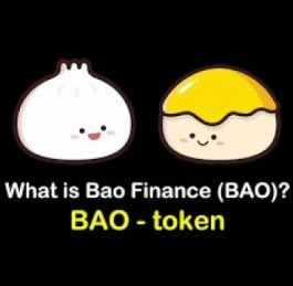 BAO Finance Video – Investment Theory
