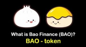BAO Finance Video – Investment Theory