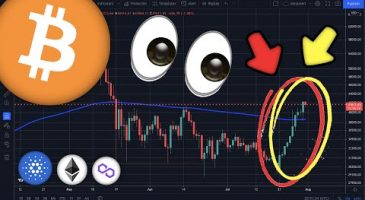 What’s Happening With Crypto? Cardano, Bitcoin, Ethereum, Matic, & More!